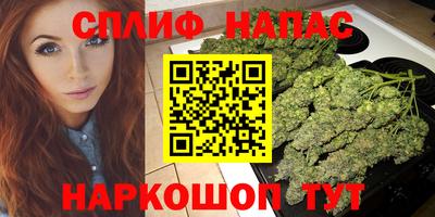 стаф Нальчик