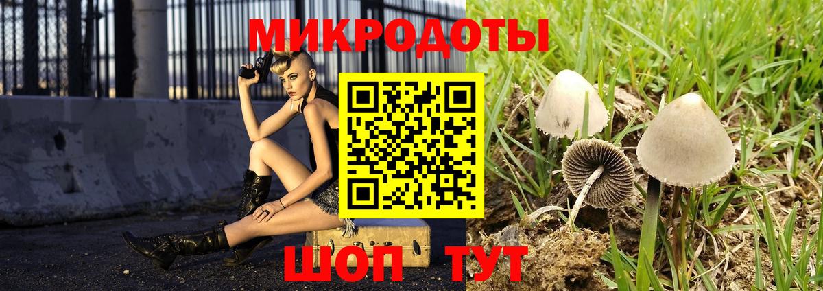 Галлюциногенные грибы Cubensis  Вход с VPN  Углич 